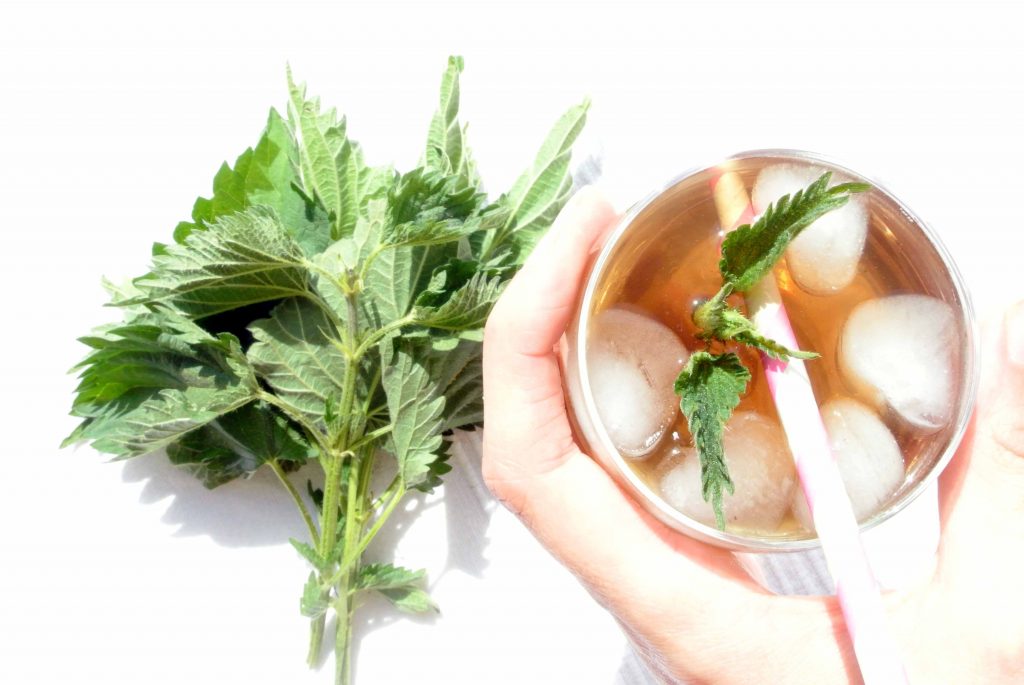Brennnesselwasser, Brennnesseldrink, Brennnessel, Vitamindrink, Kräuterzimmer