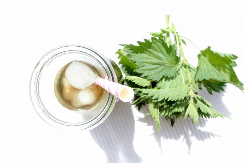 Brennnesselwasser, Brennnesseldrink, Brennnessel, Vitamindrink, Kräuterzimmer