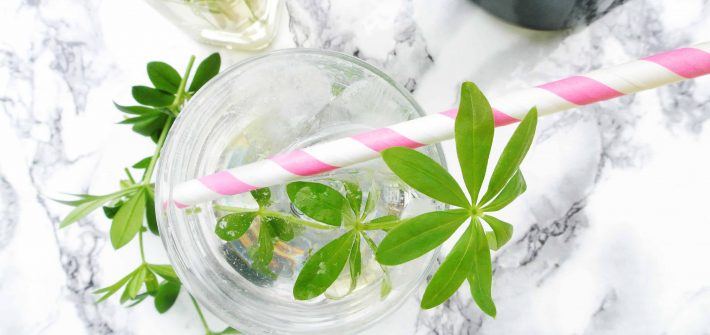 Waldmeister, Waldmeistersirup, Rezept, Kräuterzimmer